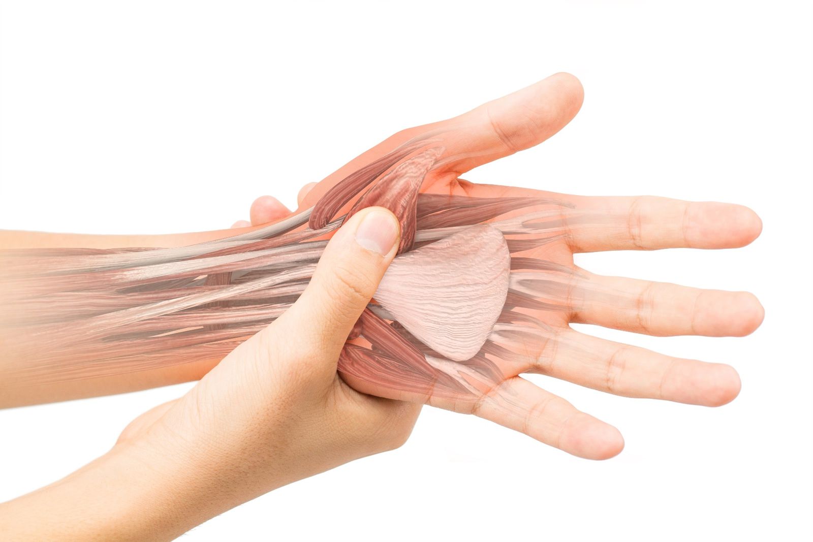 Are you experiencing a tendon injury?